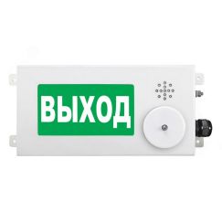 Оповещатель взрывозащищенный световое табло       ТСВ-Exm-М-Прометей-МИНИ ''Выход'' 220В Спектрон ТСВ-Exm-М-Прометей-МИНИ Выход