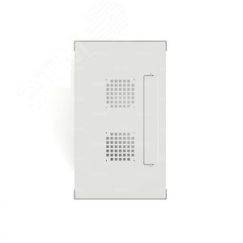 Шкаф настенный телекоммуникационный WS 9U 600х600х500мм, 2 профиля 19, дверь стеклянная, боковые стенки съемные, разобранный, серый RAL 7035 NTSS NTSS-WSP9U6060GS