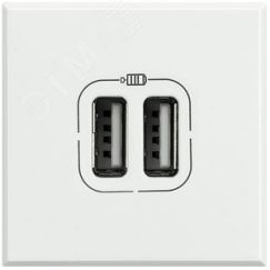 Axl Разъем для зарядки 2хUSB белый LEGRAND HD4285C2