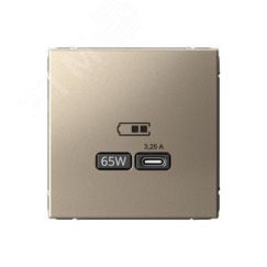 ARTGALLERY USB розетка тип-С 65Вт высокоскор.заряд. QC, PD, механизм, шампань SE (Systeme) GAL000527
