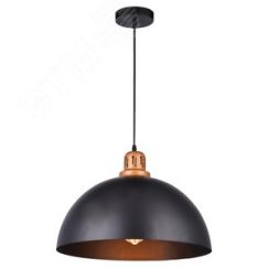 Светильник EURICA Arte Lamp A4249SP-1BK