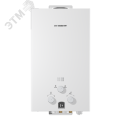 Водонагреватель газовый Edisson ECO PRO E 20 D Pro 10 л/мин с электророзжигом Thermex 361502