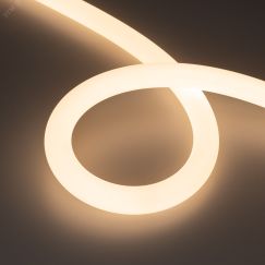 Лента герметичная MOONLIGHT-SIDE-FP-X1088-D25mm 24V Warm3000 (20 W/m, IP65, 5m, wire x1) (Arlight, Вывод кабеля боковой) Arlight 038868