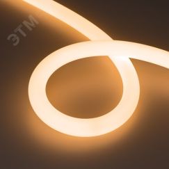 Лента герметичная MOONLIGHT-TOP-FP-X1088-D25mm 24V Warm2300 (20 W/m, IP65, 5m, wire x1) (Arlight, Вывод прямой, 3 года) Arlight 038865