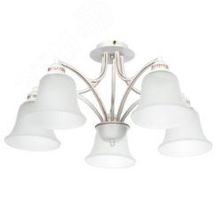 Люстра EMMA Arte Lamp A2713PL-5WG