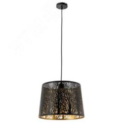 Светильник CELESTA Arte Lamp A2769SP-1BK