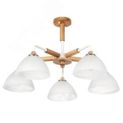 Люстра MATTHEW Arte Lamp A5032PL-5BR