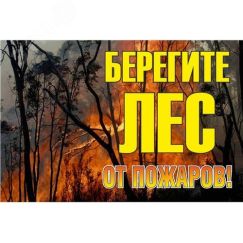 Знак ''Берегите лес от огня!'' 1200х800 мм EKF zn-1-02
