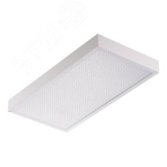 Светильник TL224 CL, ЛЛ (T5), IP20, ЭПРА(A2) TECHNOLUX 09958