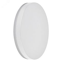 Светильник светодиодный уличный ДБУ-12w 4000К IP54 круглый белый FERON DH105