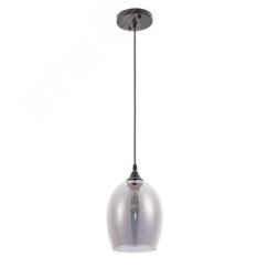 Светильник PROPUS Arte Lamp A4344SP-1BK