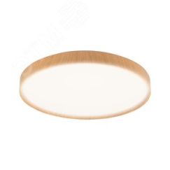 Светильник светодиодный ДБО-36w 4000К 2880Лм IP20 ''PINE'' JazzWay 5052642
