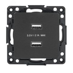 Стокгольм Механизм Розетки USB 2-местной 2,1А черный EKF EZR16-028-10-2USB