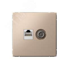 ARTGALLERY розетка двойная ТВ + компьютерная RJ45, кат. 5Е, песочный SE (Systeme) GAL001289
