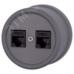 Розетка Лизетта RJ45 информационная двойная, пластик, цвет Титан Бирони B1-302-26