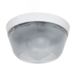 Светильник, КЛЛ (E14), IP66, ЭПРА TECHNOLUX TLR 1xE14 CL