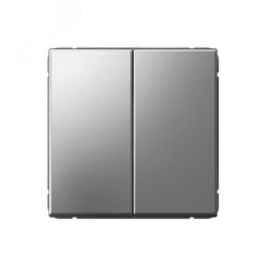 ARTGALLERY 2-клавишный выключатель, сх.5, 10АХ, механизм, сталь SE (Systeme) GAL000951