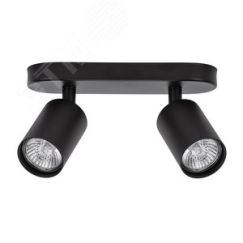 Спот AQUARIUS Arte Lamp A3226PL-2BK