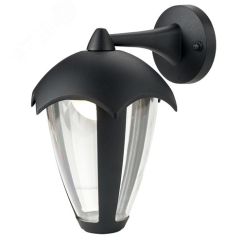 Уличный настенный светильник HENRY Arte Lamp A1661AL-1BK
