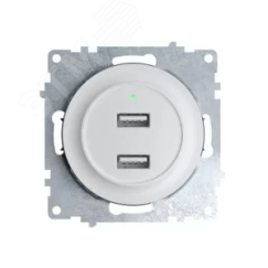 Розетка USB двойная, с подсветкой, цвет белый OneKeyElectro 2260089