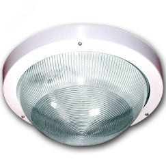 Светильник НПП-03-100-001 IP65 (Селена 1) ЭЛЕТЕХ 1005500139