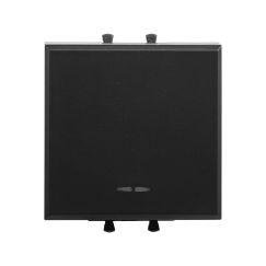 Инвертор одноклавишный модульный, &quot;Avanti&quot;, &quot;Черный матовый&quot;, 2 модуля