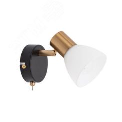 Спот FALENA Arte Lamp A3117AP-1BK