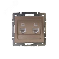 Розетка RAIN компьютерная двойная бронза матовая механизм Lezard 703-3188-141