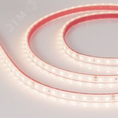 Лента герметичная RTW-PS-A80-10mm 24V Warm3500 (6 W/m, IP67, 2835, 50m) (Arlight, 6 Вт/м, IP67) Arlight 028533(2)