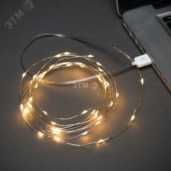 Гирлянда Роса 10 м, 100 LED, USB, теплое белое свечение Neon-Night 315-976