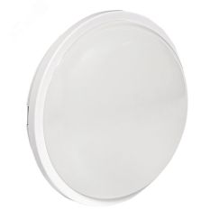 Светильник светодиодный ЖКХ круг ДПО-2010 15Вт 6500K IP65 PROxima EKF BKL-2010-R-15-6500