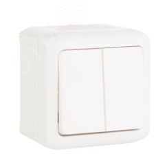 Quteo Выключатель двухклавишный наружный IP44 белый 10А LEGRAND 782302