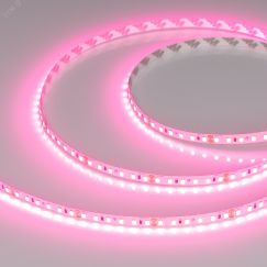 Лента RT-A120-8mm 24V Pink (9.6 W/m, IP20, 2835, 5m) (Arlight, -) Arlight 043380