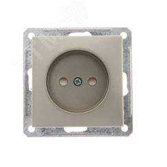 W59 Розетка скрытая без заземления в рамку  шампань SE (Systeme) RS16-151-4-86