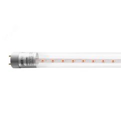 Лампа светодиодная LED 12 Вт 375 Лм для растений G13 900 мм прозрачная Jazzway JazzWay 5037410