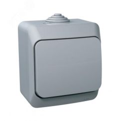 ЭТЮД Переключатель одноклавишный наружный IP44 серый SE (Systeme) BA10-046C