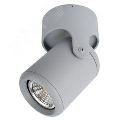 Светильник LIBRA Arte Lamp A3316PL-1GY