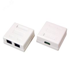 Розетка сетевая LAN. на стену. (2 гнездо 8Р8С (Rj-45). 5e кат), REXANT 06-0105-C