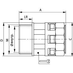Чертеж PAM07M12N
