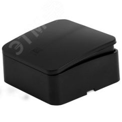Выключатель двухклавишный с индикатором 250В 10А IP20 серия София черный матовый STEKKER STEKKER MSW10-21-05 49477