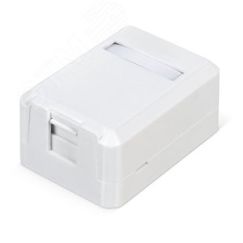 Корпус настенной розетки для установки 1-ой вставки типа Keystone Jack цвет белый WRline WRline WR-MB-1