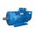 Электродвигатель 5MTH 200 LB8 22/750 IM 1003 Elcom 01.03.01.000189