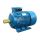 Электродвигатель 5АИ 250 S6 45/1000 IM 1001 Elcom 01.01.213756
