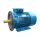 Электродвигатель 5АИ 200 L2 45/3000 IM 2001 Elcom 01.01.213644
