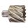 Фреза кольцевая D49х30 мм Milwaukee 4932371758