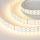 Лента RT-B144-19mm 24V RGBW-Warm (32 W/m, IP20, 5m) (Arlight, Открытый) Arlight 012327(3)