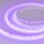 Лента RT-A120-8mm 24V Violet (9.6 W/m, IP20, 2835, 5m) (Arlight, -) Arlight 043384