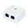 Розетка компьютерная RJ-45(8P8C), категория 6, двойная, внешняя, Dual IDC Cabeus WS-8P8C-Cat.6-2