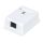 Розетка компьютерная RJ-45(8P8C), категория 6, одинарная, внешняя, Dual IDC Cabeus WS-8P8C-Cat.6-1