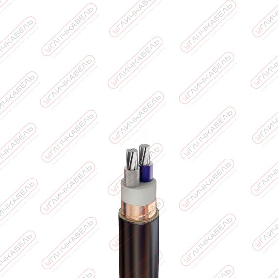 Кабель силовой АПвВГЭ 2х50 мк(N)-1 Угличкабель PL012120502100000000